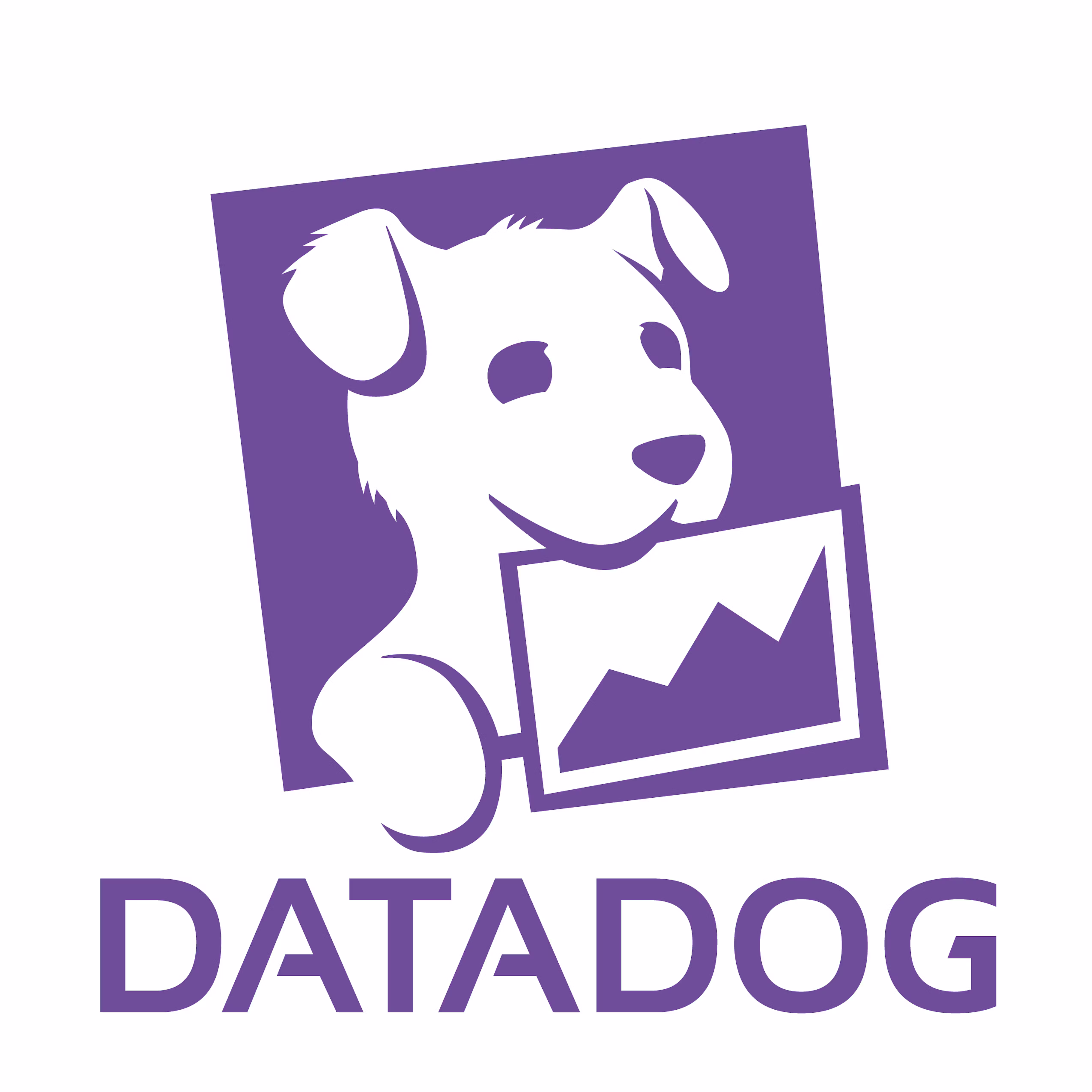 Datadog company logo